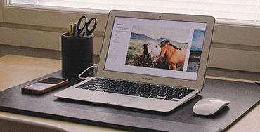 Consulta online